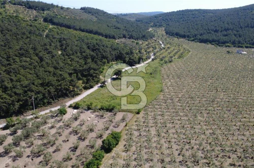 YOLA CEPHE 7000m2 TEK TAPU ARSA