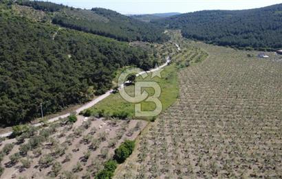 YOLA CEPHE 7000m2 TEK TAPU ARSA