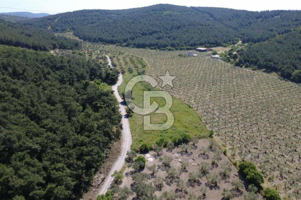 YOLA CEPHE 7000m2 TEK TAPU ARSA