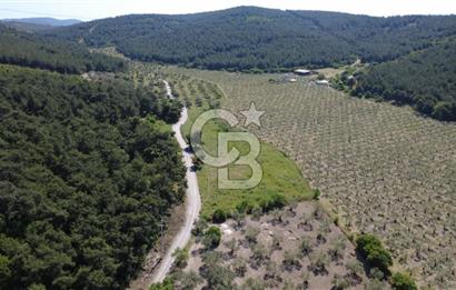 YOLA CEPHE 7000m2 TEK TAPU ARSA