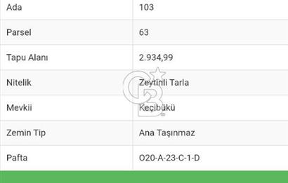 Marmaris Orhaniye’de Denize Çok Yakın Satılık Tarla