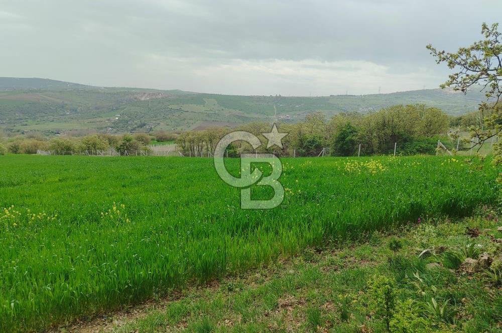 ELMADAĞ'DA 20.200 M2 DOĞA İLE İÇİÇE YATIRIMLIK ARSA