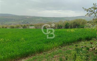 ELMADAĞ'DA 20.200 M2 DOĞA İLE İÇİÇE YATIRIMLIK ARSA