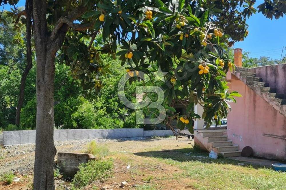 MUĞLA KÖYCEĞİZ ZEYTİNALANI MAHALLESİNDE KARGİR EV VE AVLUSU