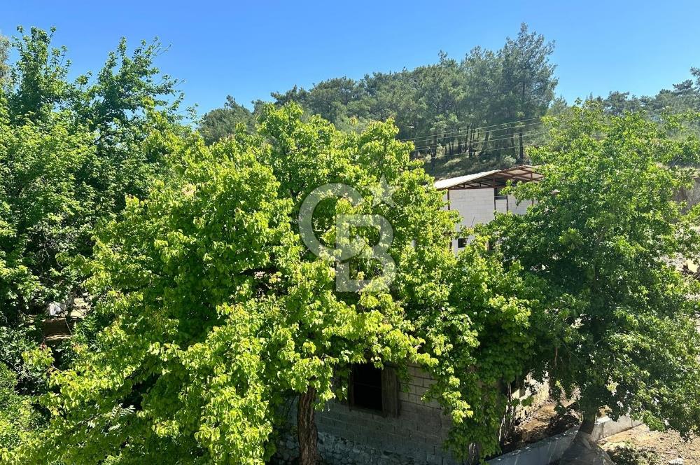 MUĞLA KÖYCEĞİZ ZEYTİNALANI MAHALLESİNDE KARGİR EV VE AVLUSU