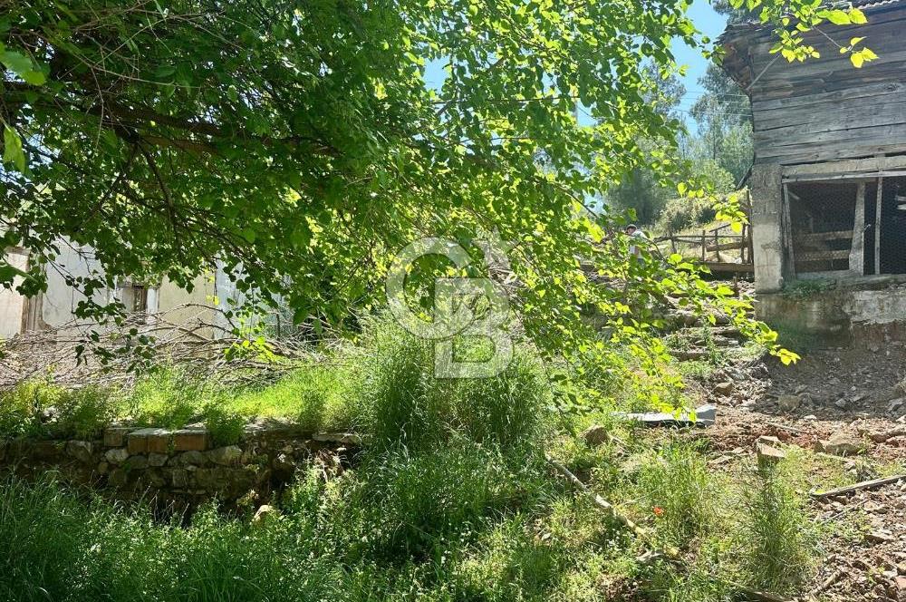 MUĞLA KÖYCEĞİZ ZEYTİNALANI MAHALLESİNDE KARGİR EV VE AVLUSU