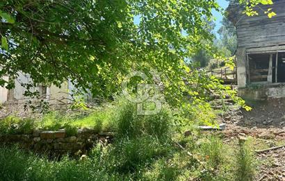 MUĞLA KÖYCEĞİZ ZEYTİNALANI MAHALLESİNDE KARGİR EV VE AVLUSU