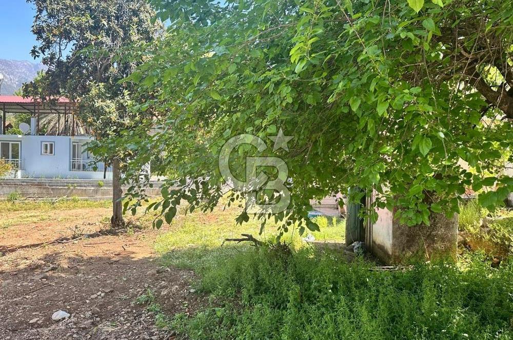 MUĞLA KÖYCEĞİZ ZEYTİNALANI MAHALLESİNDE KARGİR EV VE AVLUSU