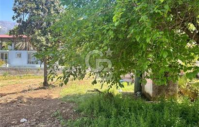 MUĞLA KÖYCEĞİZ ZEYTİNALANI MAHALLESİNDE KARGİR EV VE AVLUSU