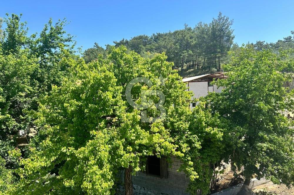 MUĞLA KÖYCEĞİZ ZEYTİNALANI MAHALLESİNDE KARGİR EV VE AVLUSU