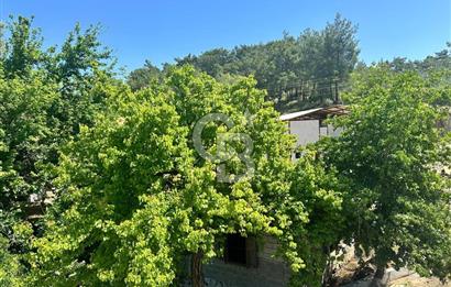MUĞLA KÖYCEĞİZ ZEYTİNALANI MAHALLESİNDE KARGİR EV VE AVLUSU