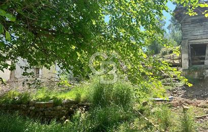 MUĞLA KÖYCEĞİZ ZEYTİNALANI MAHALLESİNDE KARGİR EV VE AVLUSU
