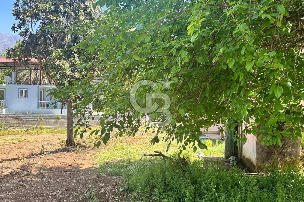 MUĞLA KÖYCEĞİZ ZEYTİNALANI MAHALLESİNDE KARGİR EV VE AVLUSU