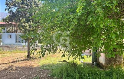 MUĞLA KÖYCEĞİZ ZEYTİNALANI MAHALLESİNDE KARGİR EV VE AVLUSU