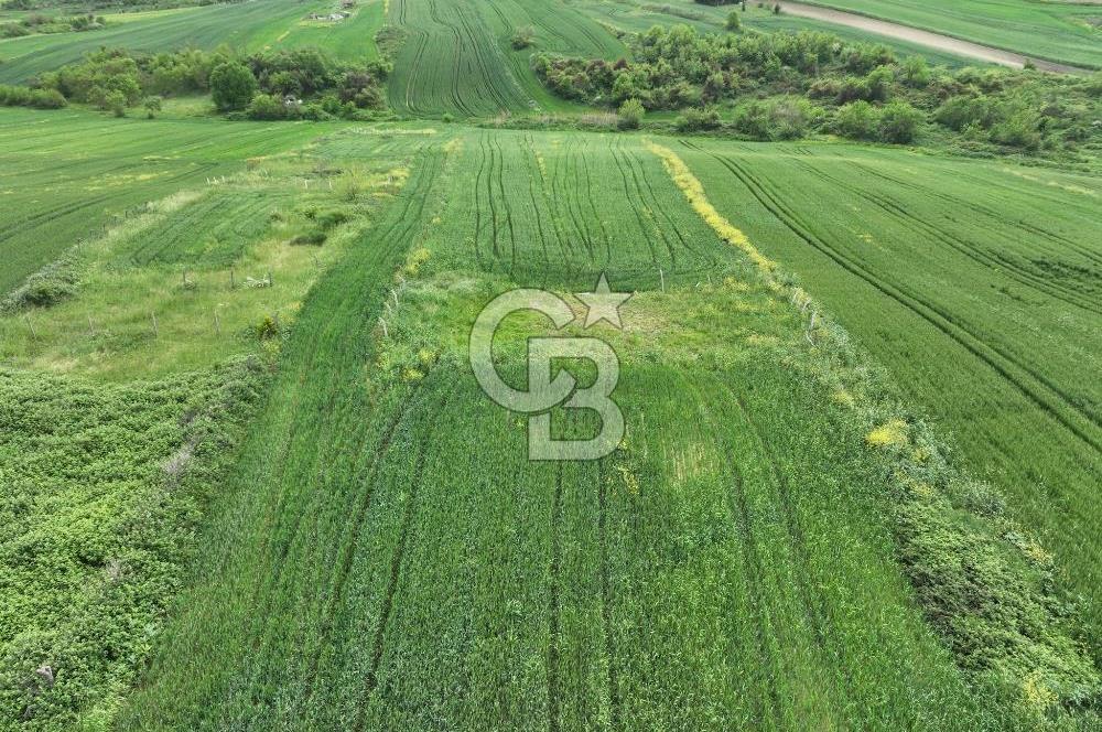 ARNAVUTKÖY HARAÇÇI'DA SATILIK 466 METRE ÇAPLI ARSA