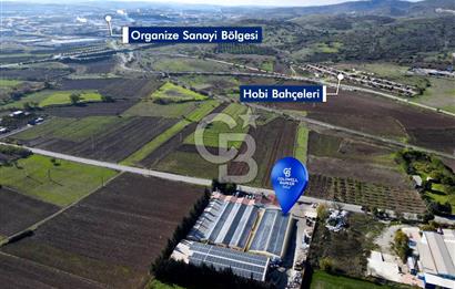 CB EAGLE'Dan 24 SAAT GÜVENLİKLİ KİRALIK 1.000 m² DEPO