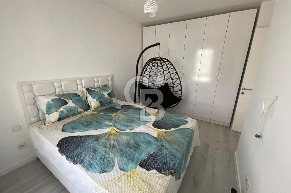 Soyak siestada kiralık dair