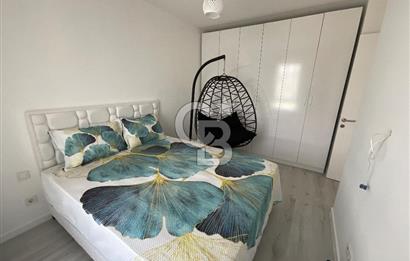 Soyak siestada kiralık dair