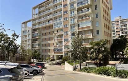 Soyak siestada kiralık dair