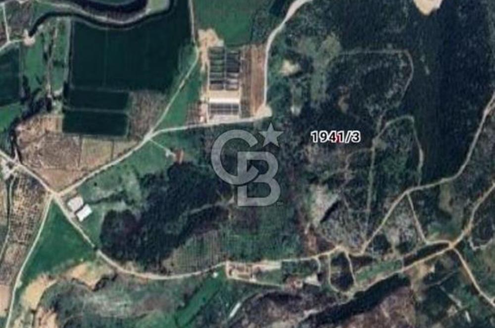 Aydın,Didim,Akyeniköy'de 2 kat villa imarlı arsa