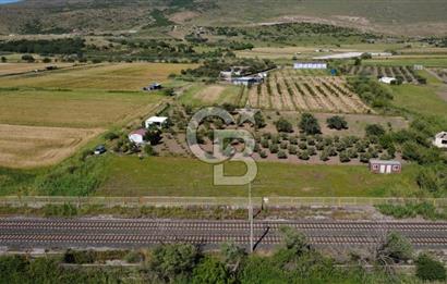 ALİAĞA HELVACIDA BAHÇE YAPMAYA UYGUN TARLA