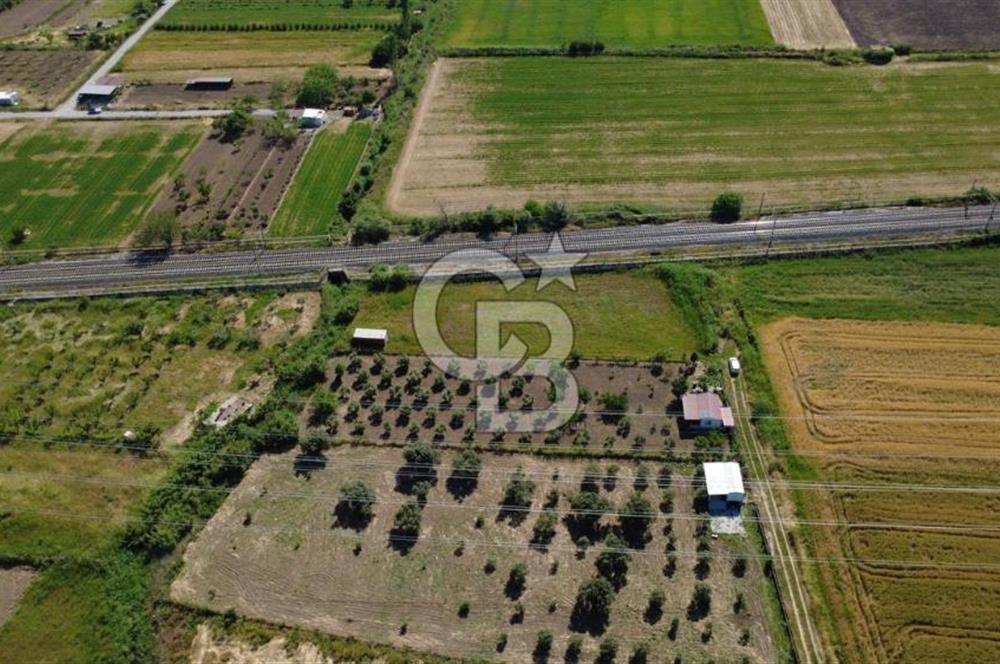 ALİAĞA HELVACIDA BAHÇE YAPMAYA UYGUN TARLA