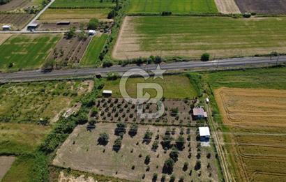 ALİAĞA HELVACIDA BAHÇE YAPMAYA UYGUN TARLA