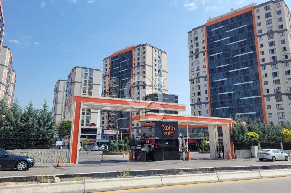 RELAX PLUS EN İYİ PEYZAJ MANZARA EŞYALI BOŞ KÖK TAPU 1+1