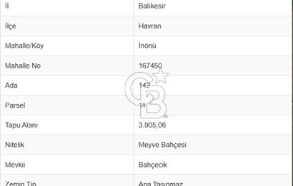 BALIKESİR HAVRAN İNÖNÜ'DE ANAYOLA SIFIR SATILIK MEYVE BAHÇESİ