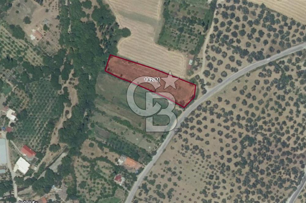 BALIKESİR HAVRAN İNÖNÜ'DE ANAYOLA SIFIR SATILIK MEYVE BAHÇESİ
