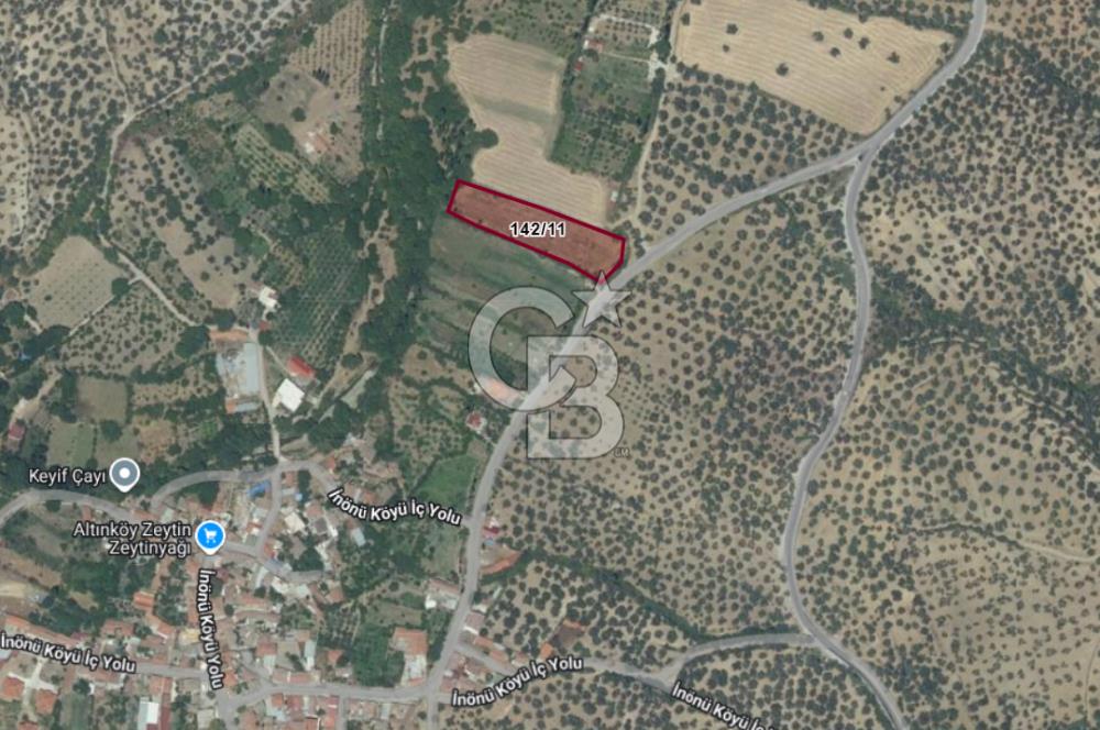 BALIKESİR HAVRAN İNÖNÜ'DE ANAYOLA SIFIR SATILIK MEYVE BAHÇESİ
