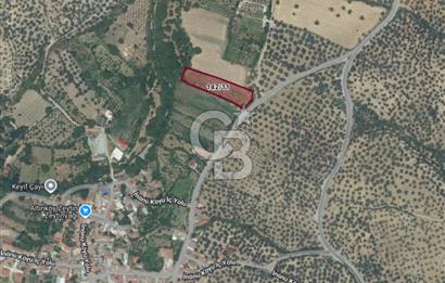 BALIKESİR HAVRAN İNÖNÜ'DE ANAYOLA SIFIR SATILIK MEYVE BAHÇESİ