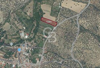 BALIKESİR HAVRAN İNÖNÜ'DE ANAYOLA SIFIR SATILIK MEYVE BAHÇESİ - 9 - 349176