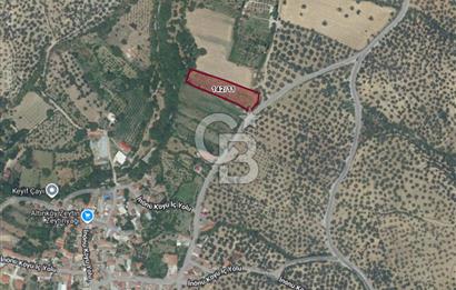 BALIKESİR HAVRAN İNÖNÜ'DE ANAYOLA SIFIR SATILIK MEYVE BAHÇESİ