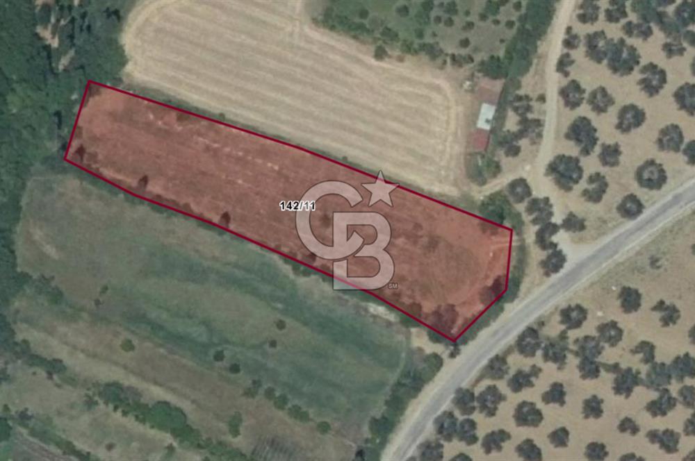 BALIKESİR HAVRAN İNÖNÜ'DE ANAYOLA SIFIR SATILIK MEYVE BAHÇESİ