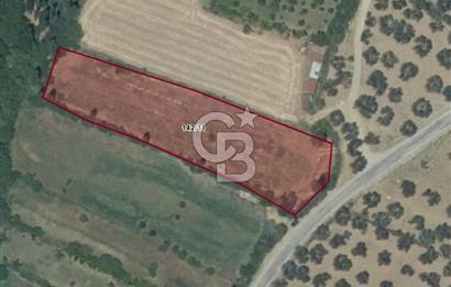 BALIKESİR HAVRAN İNÖNÜ'DE ANAYOLA SIFIR SATILIK MEYVE BAHÇESİ