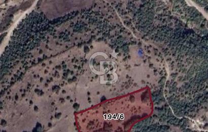 Balya Bengiler'de Maden ve Tarım Aksında 6.202 m² Tek Parsel!
