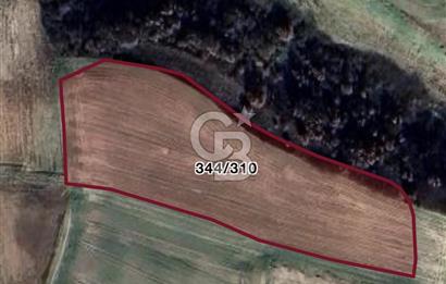 Silivri Değirmenköy’de 434m2 Satılık Hisseli Tarla