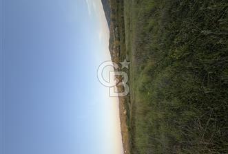 Şile kurfallıda satılık turizm imarlı aesa - 2 - 349197