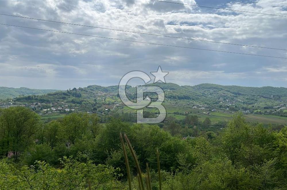 ŞİLE GEREDELİDE DOĞAYLA İÇ İÇE YATIRIMLIK FIRSAT ARSA