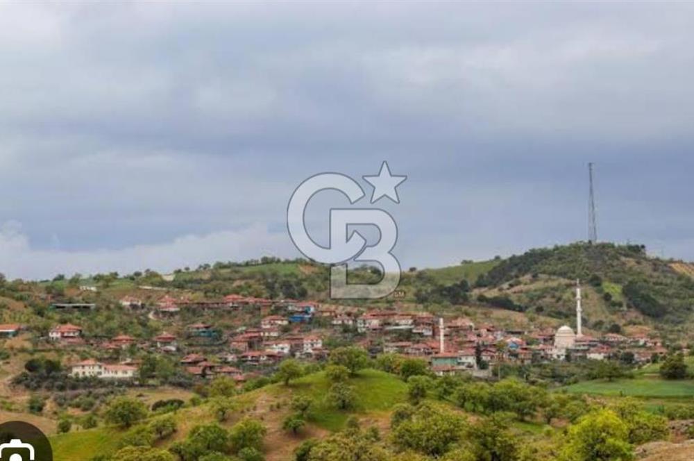Manisa Demirci Ana Yola Yakın 27 Dönüm Bedava Satılık Tarla