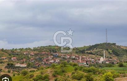 Manisa Demirci Ana Yola Yakın 27 Dönüm Bedava Satılık Tarla