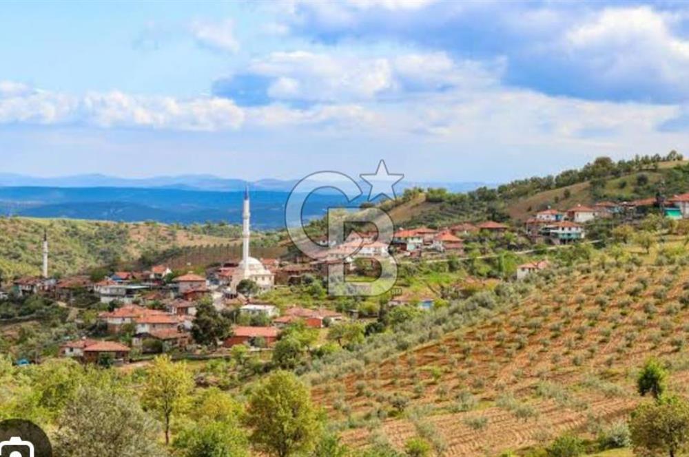Manisa Demirci Ana Yola Yakın 27 Dönüm Bedava Satılık Tarla
