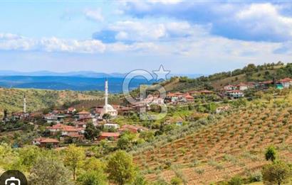 Manisa Demirci Ana Yola Yakın 27 Dönüm Bedava Satılık Tarla