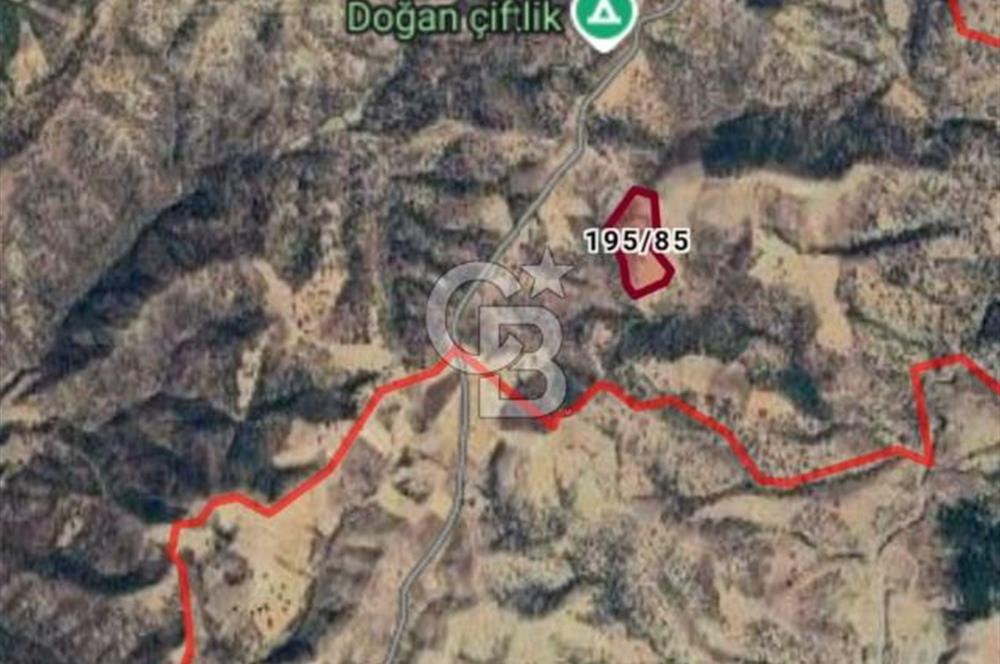 Manisa Demirci Ana Yola Yakın 27 Dönüm Bedava Satılık Tarla