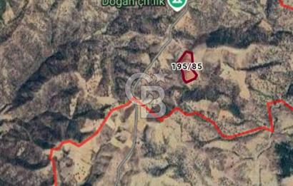Manisa Demirci Ana Yola Yakın 27 Dönüm Bedava Satılık Tarla