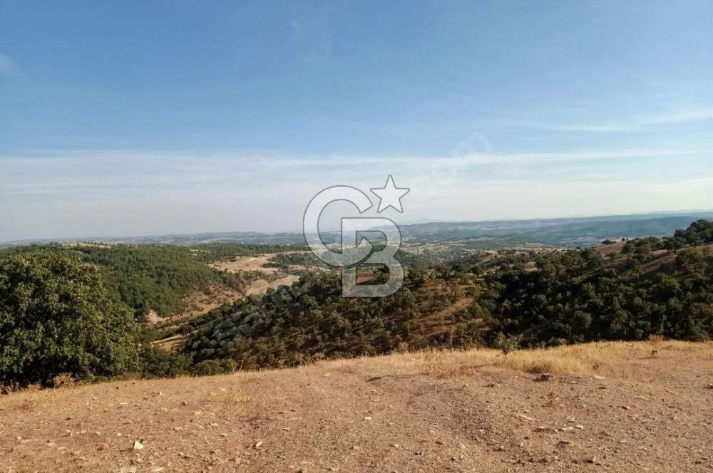 Manisa Demirci Ana Yola Yakın 27 Dönüm Bedava Satılık Tarla