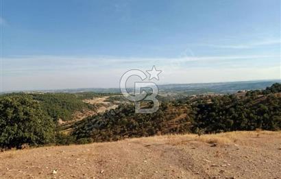 Manisa Demirci Ana Yola Yakın 27 Dönüm Bedava Satılık Tarla