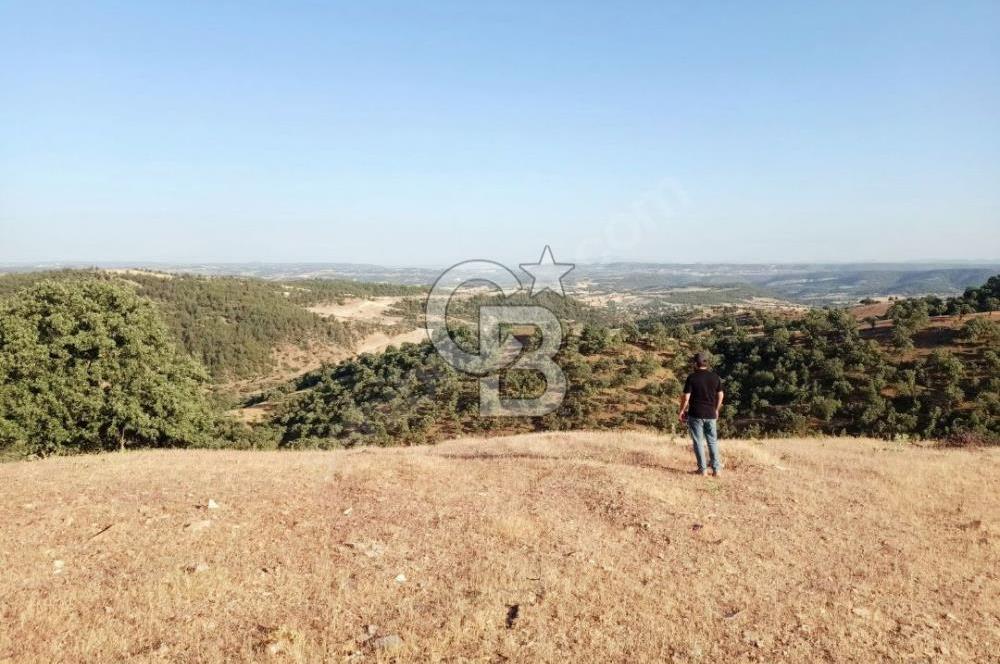 Manisa Demirci Ana Yola Yakın 27 Dönüm Bedava Satılık Tarla