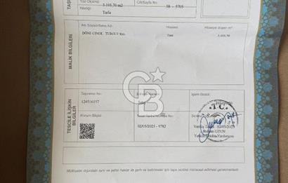 ŞİLE GEREDELİDE DOĞAYLA İÇ İÇE YATIRIMLIK FIRSAT ARSA